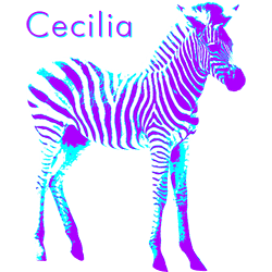 Cecilia Lung - Meine Website